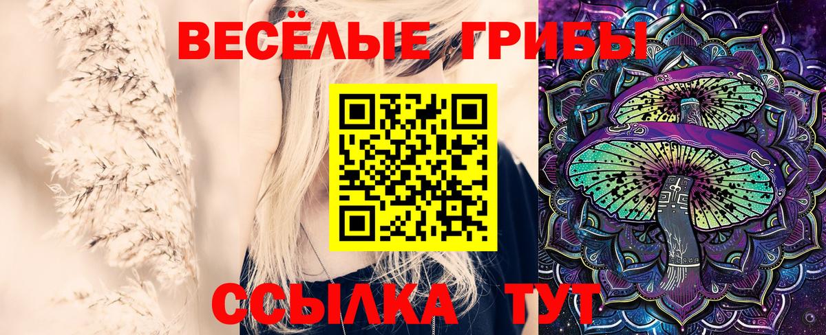 Пыть-Ях  Галлюциногенные грибы ЛСД  Вход с VPN 