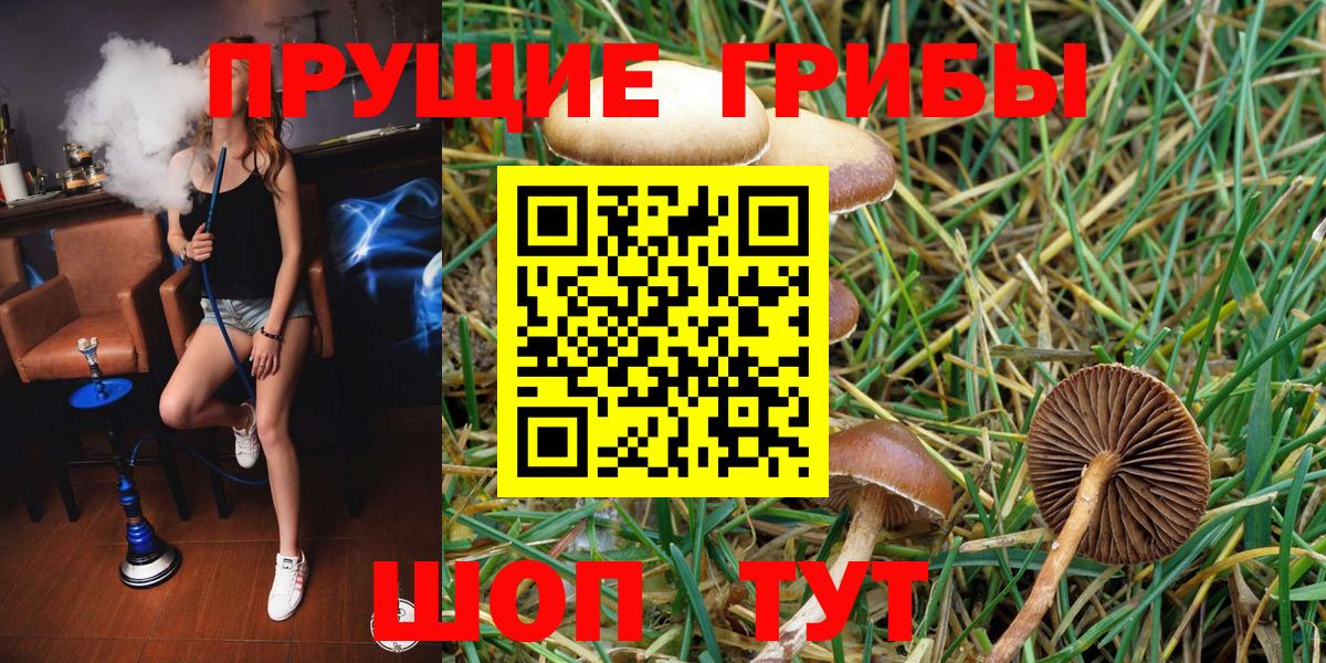 Псилоцибиновые грибы ЛСД Пыть-Ях